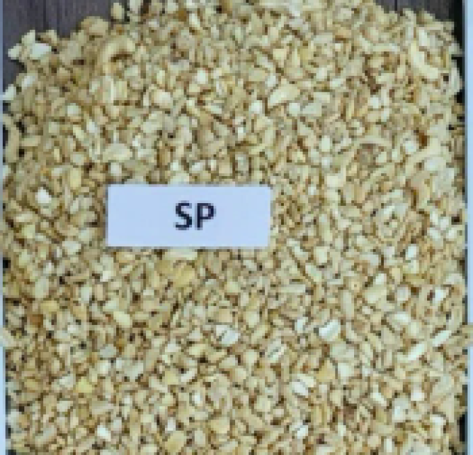 SP