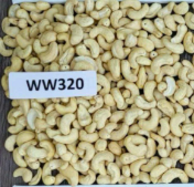 WW320