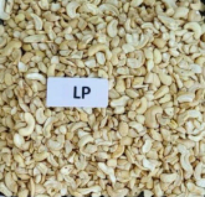LP