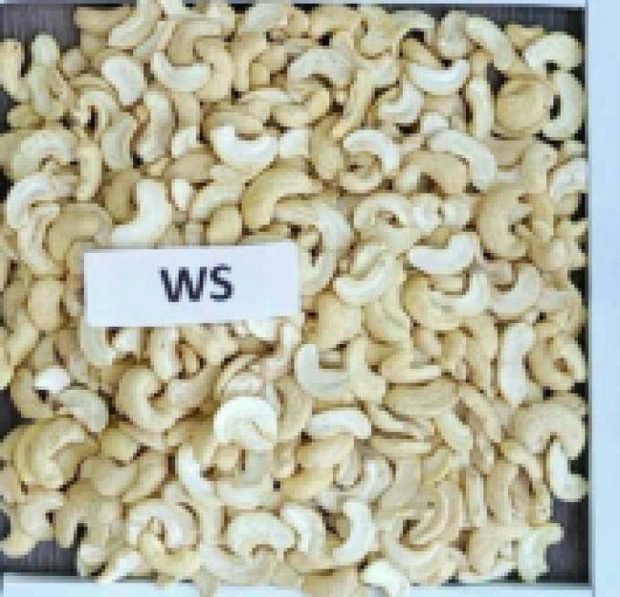 WS