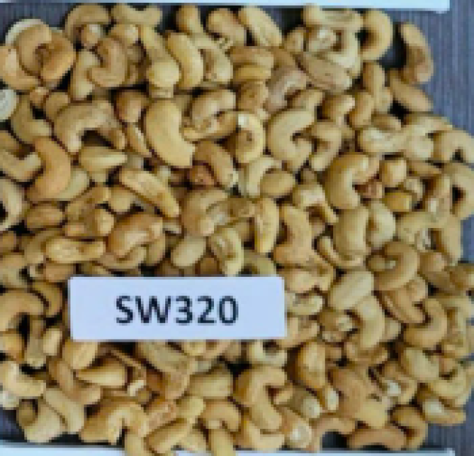 SW320