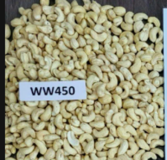 WW450