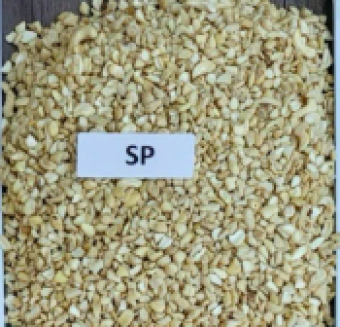 SP