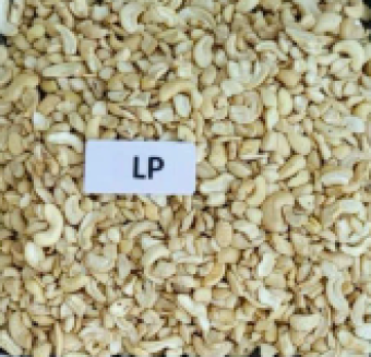 LP