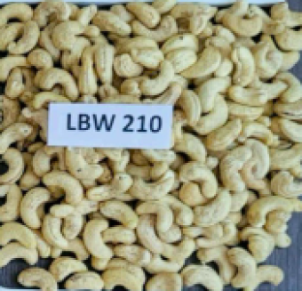 LPW210