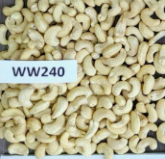 WW240