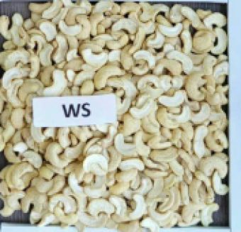 WS
