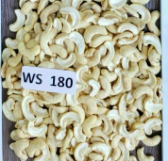 WS180